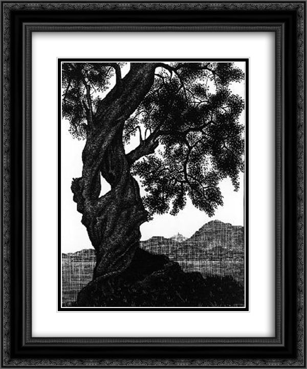 Old Olive Tree, Corsica 20x24 Black Ornate Wood Framed Art Print Poster with Double Matting by Escher, M.C.