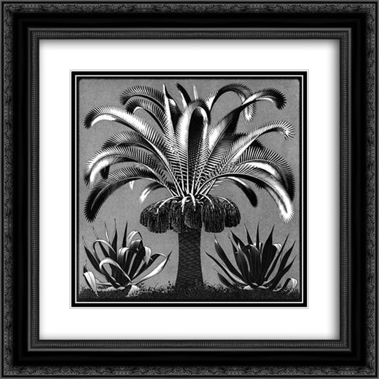 Palm 20x20 Black Ornate Wood Framed Art Print Poster with Double Matting by Escher, M.C.