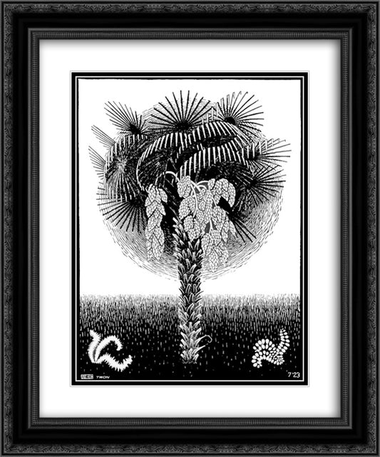 Palm Tree 20x24 Black Ornate Wood Framed Art Print Poster with Double Matting by Escher, M.C.