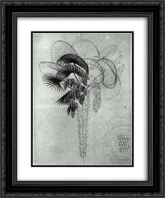 Palm Tree sketch 20x24 Black Ornate Wood Framed Art Print Poster with Double Matting by Escher, M.C.