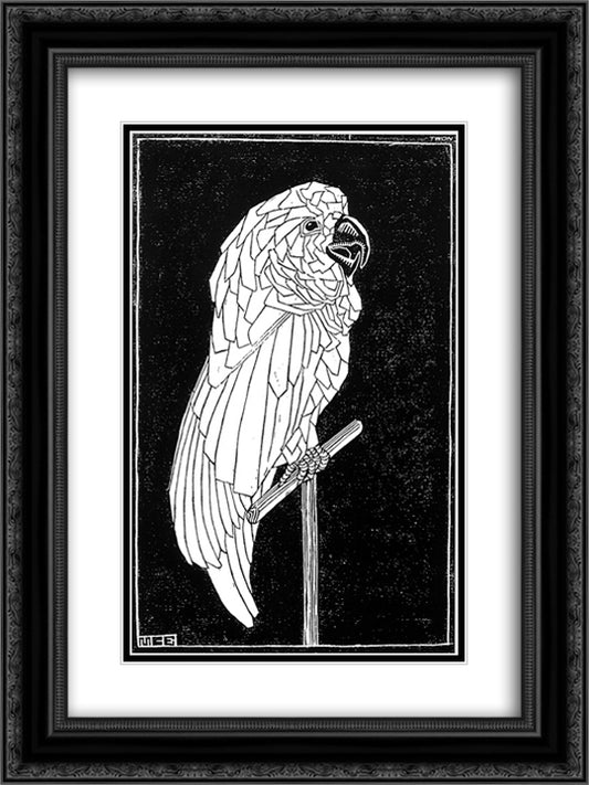 Parrot 18x24 Black Ornate Wood Framed Art Print Poster with Double Matting by Escher, M.C.