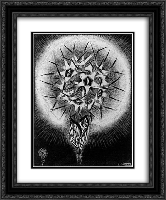 Prickly Flower 20x24 Black Ornate Wood Framed Art Print Poster with Double Matting by Escher, M.C.