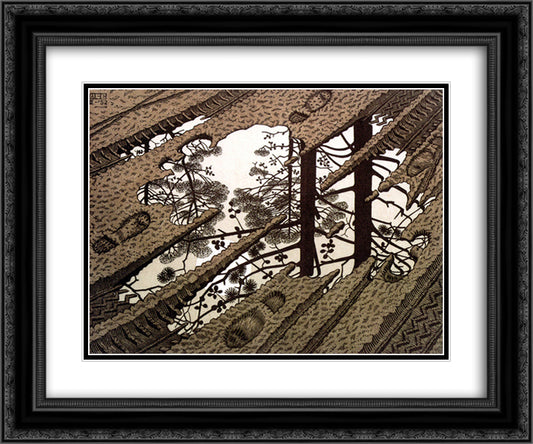 Puddle 24x20 Black Ornate Wood Framed Art Print Poster with Double Matting by Escher, M.C.