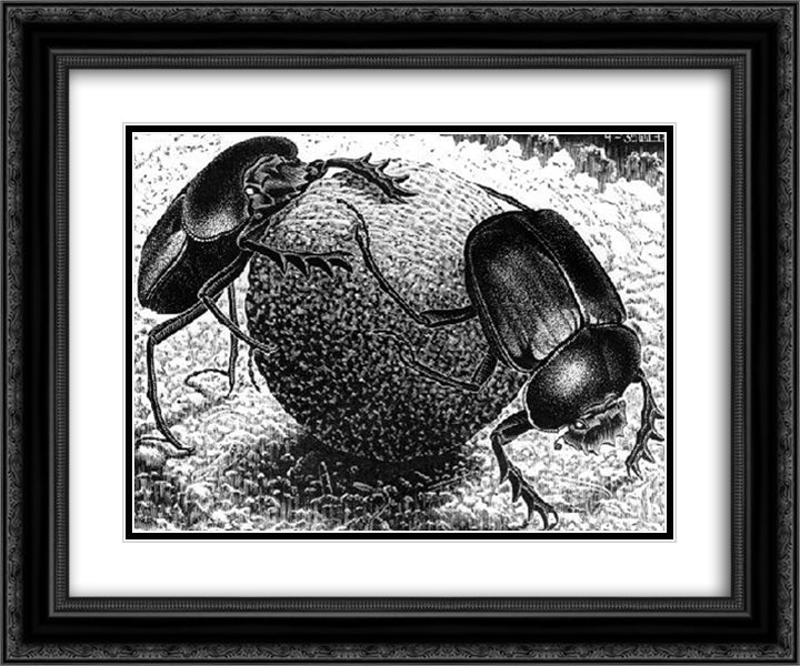 Scarabs 24x20 Black Ornate Wood Framed Art Print Poster with Double Matting by Escher, M.C.