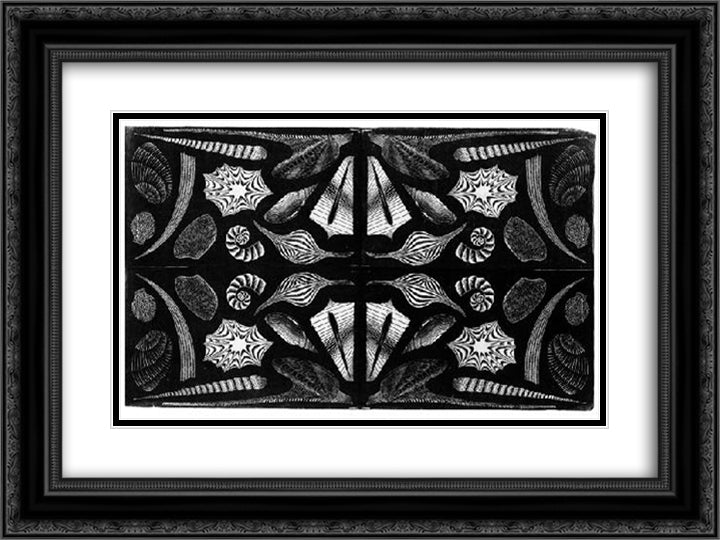 Sea Shells 24x18 Black Ornate Wood Framed Art Print Poster with Double Matting by Escher, M.C.