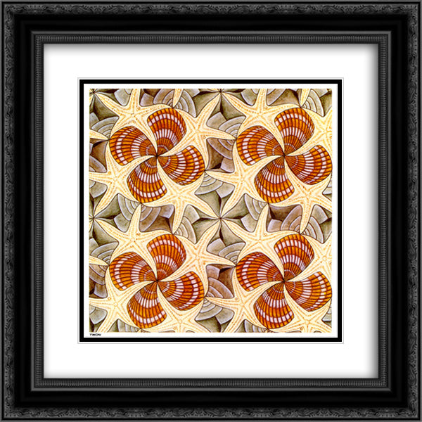 Shells and Starfish 20x20 Black Ornate Wood Framed Art Print Poster with Double Matting by Escher, M.C.