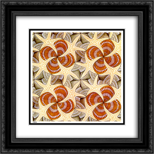 Shells and Starfish 20x20 Black Ornate Wood Framed Art Print Poster with Double Matting by Escher, M.C.