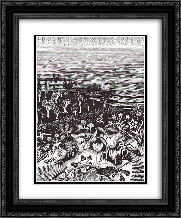 The 3rd Day of the Creation 20x24 Black Ornate Wood Framed Art Print Poster with Double Matting by Escher, M.C.