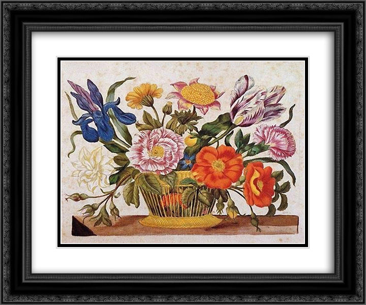 from Der Raupen wunderbare Verwandlung und sonderbare Blumennahrung, Plate CLXIX 24x20 Black Ornate Wood Framed Art Print Poster with Double Matting by Merian, Maria Sibylla