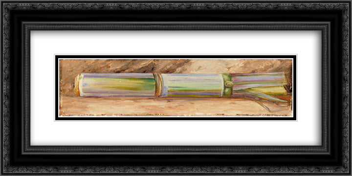 A Piece of Sugar Cane 24x12 Black Ornate Wood Framed Art Print Poster with Double Matting by North, Marianne