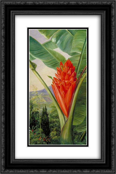 Banana, American Aloe and Cypress in a Garden, Java 16x24 Black Ornate Wood Framed Art Print Poster with Double Matting by North, Marianne