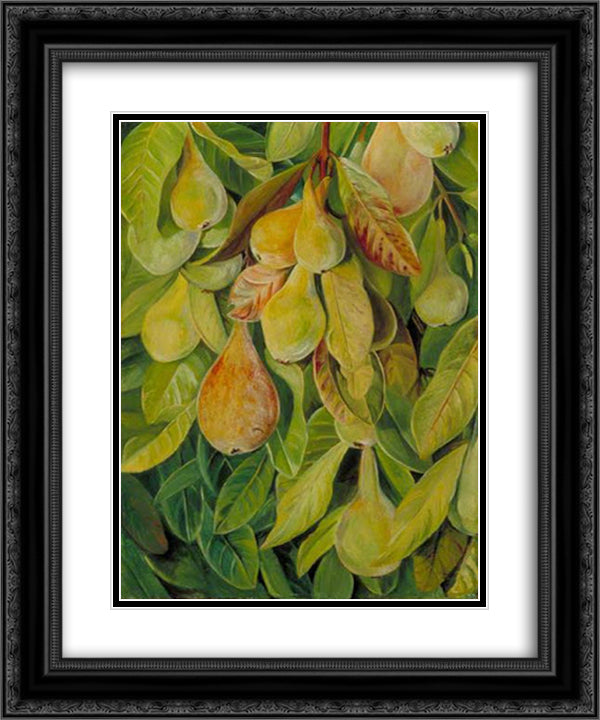 Cabazina Pears, Brazil 20x24 Black Ornate Wood Framed Art Print Poster with Double Matting by North, Marianne