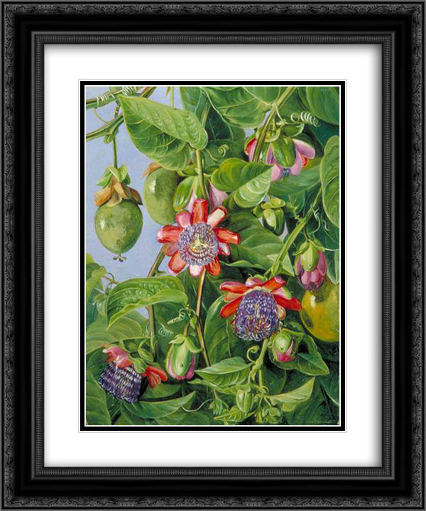 delete 20x24 Black Ornate Wood Framed Art Print Poster with Double Matting by North, Marianne