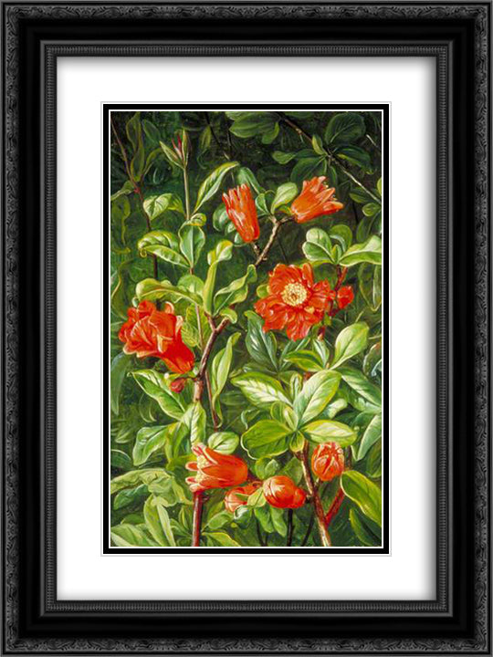 Flowers of the Pomegranate, Painted in Teneriffe 18x24 Black Ornate Wood Framed Art Print Poster with Double Matting by North, Marianne