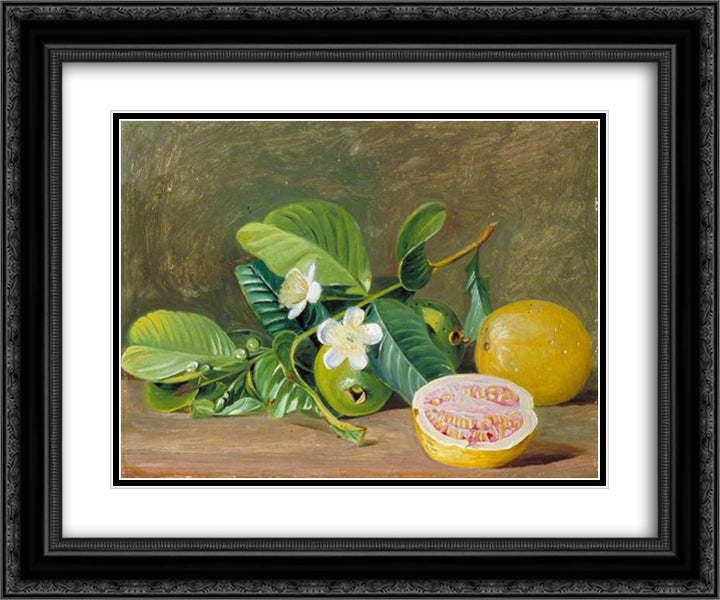 Foliage, Flowers and Fruit of a Variety of Guava 24x20 Black Ornate Wood Framed Art Print Poster with Double Matting by North, Marianne