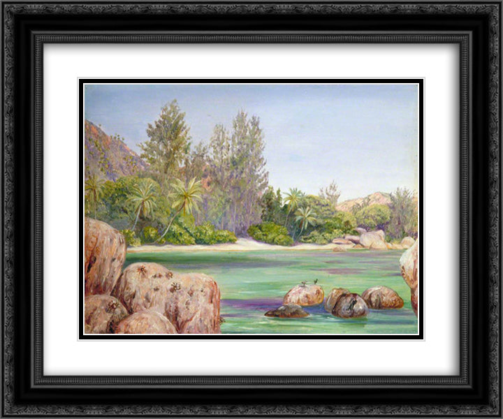Life on the Coast of Praslin, Seychelles 24x20 Black Ornate Wood Framed Art Print Poster with Double Matting by North, Marianne