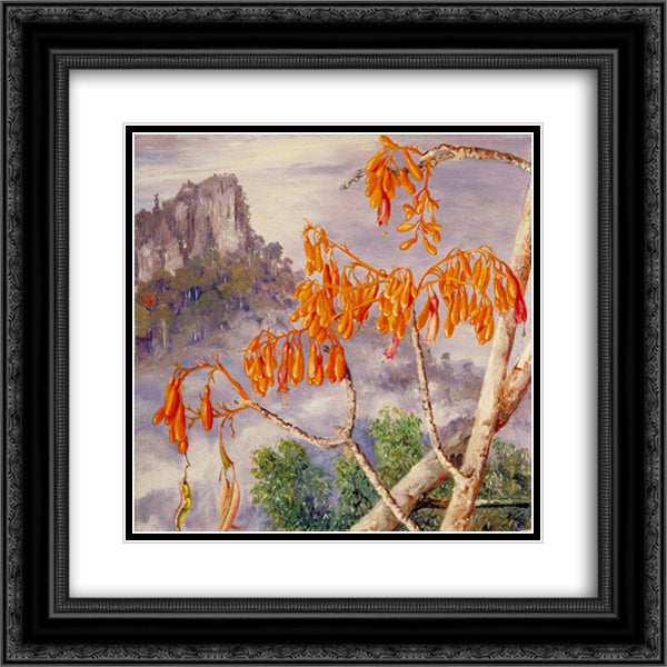 Limestone Mountains of Sarawak, Borneo 20x20 Black Ornate Wood Framed Art Print Poster with Double Matting by North, Marianne