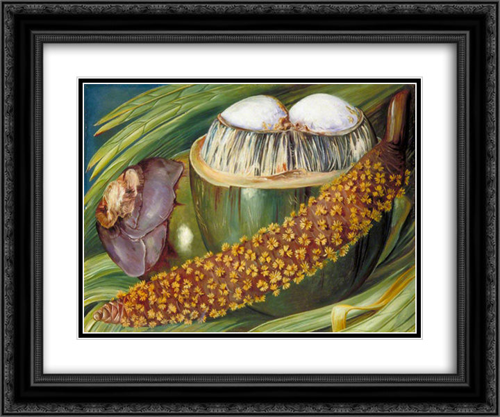 Male Inflorescence and Ripe Nuts of the Coco de Mer, Seychelles 24x20 Black Ornate Wood Framed Art Print Poster with Double Matting by North, Marianne