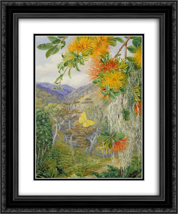 Parasites on Beech Trees, Chili 20x24 Black Ornate Wood Framed Art Print Poster with Double Matting by North, Marianne