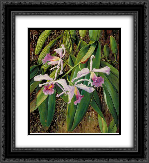 Pink Orchid 20x22 Black Ornate Wood Framed Art Print Poster with Double Matting by North, Marianne
