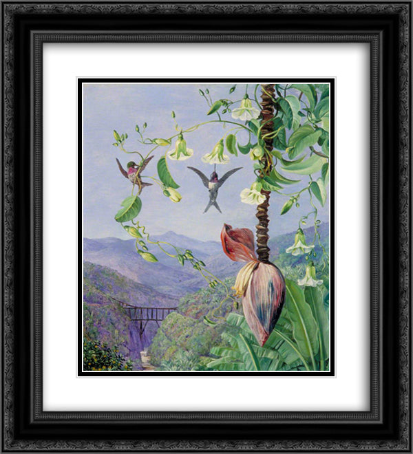 The Aqueduct of Morro Velho, Brazil 20x22 Black Ornate Wood Framed Art Print Poster with Double Matting by North, Marianne