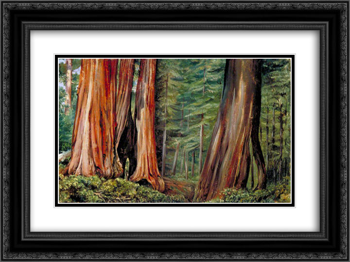 The Mariposa Grove of Big Trees, California 24x18 Black Ornate Wood Framed Art Print Poster with Double Matting by North, Marianne