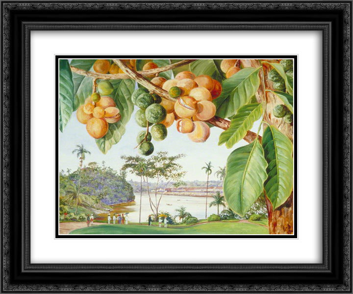 View from the Istana, Sarawak, Borneo 24x20 Black Ornate Wood Framed Art Print Poster with Double Matting by North, Marianne