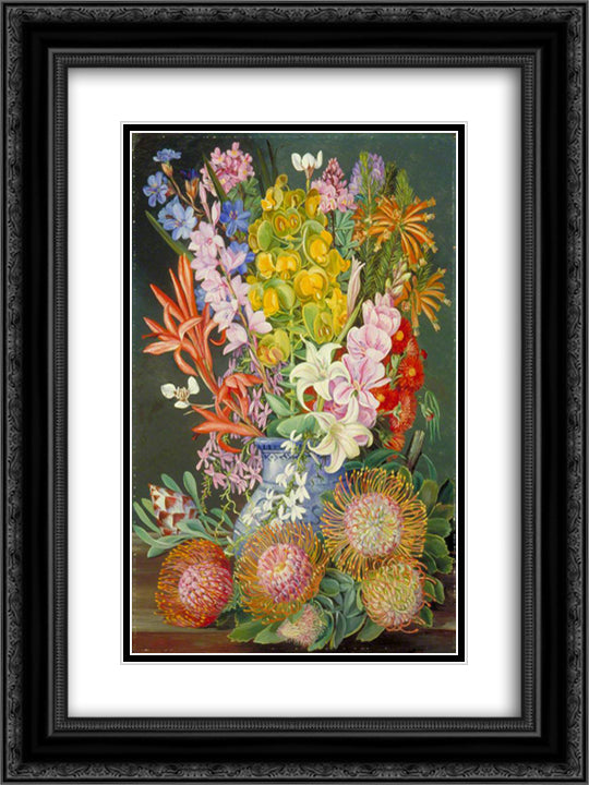 Wild Flowers of Ceres, South Africa 18x24 Black Ornate Wood Framed Art Print Poster with Double Matting by North, Marianne