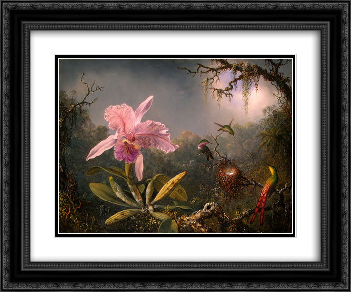 Cattleya Orchid and Three Hummingbirds 24x20 Black Ornate Wood Framed Art Print Poster with Double Matting by Heade, Martin Johnson