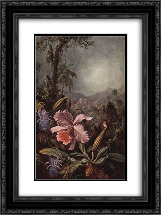 Orchid and Hummingbird 18x24 Black Ornate Wood Framed Art Print Poster with Double Matting by Heade, Martin Johnson