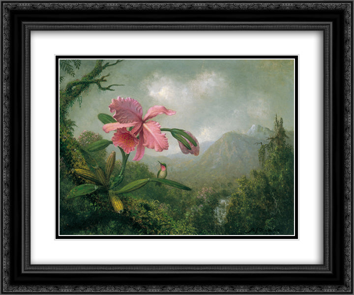Orchid and Hummingbird near a Mountain Waterfall 24x20 Black Ornate Wood Framed Art Print Poster with Double Matting by Heade, Martin Johnson