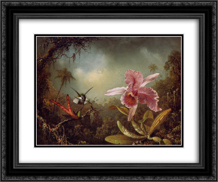 Orchid with Two Hummingbirds 24x20 Black Ornate Wood Framed Art Print Poster with Double Matting by Heade, Martin Johnson