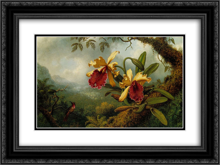 Orchids and Hummingbird 24x18 Black Ornate Wood Framed Art Print Poster with Double Matting by Heade, Martin Johnson