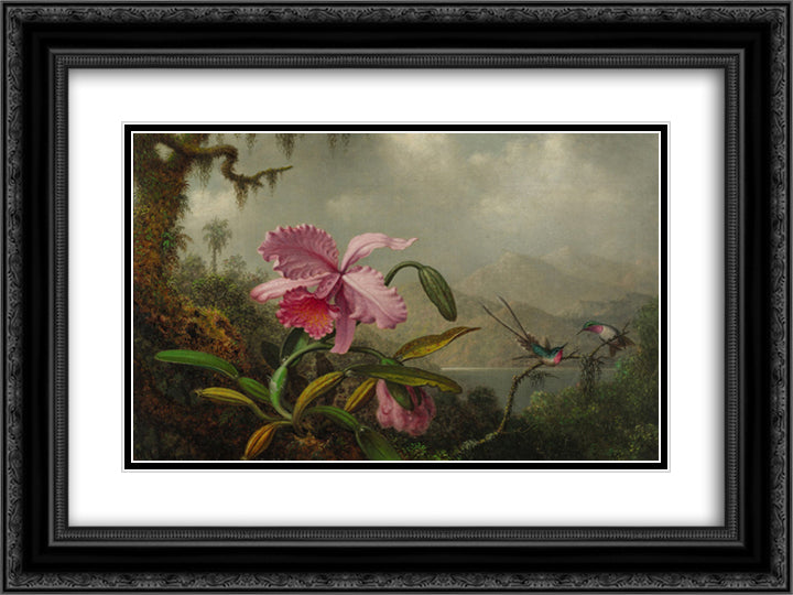Orchids and Hummingbirds 24x18 Black Ornate Wood Framed Art Print Poster with Double Matting by Heade, Martin Johnson