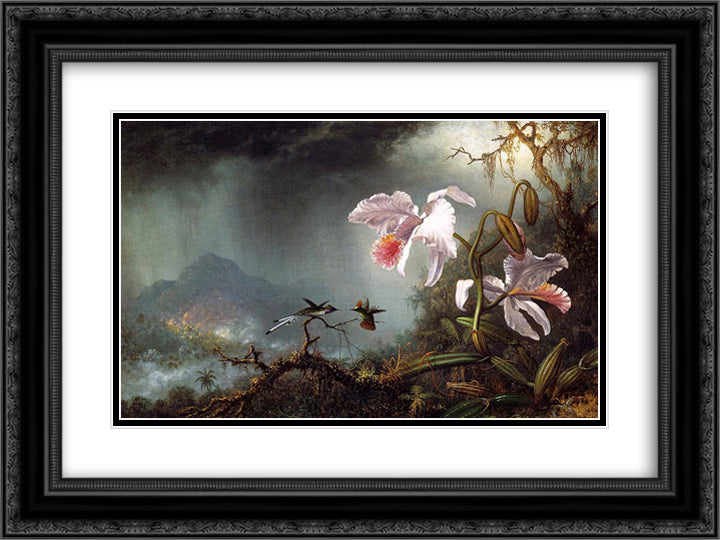 Two Fighting Hummingbirds with Two Orchids 24x18 Black Ornate Wood Framed Art Print Poster with Double Matting by Heade, Martin Johnson