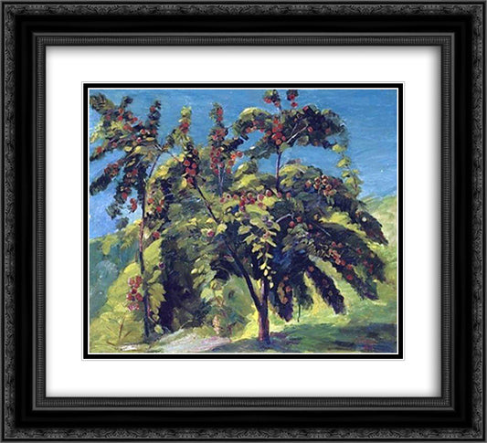 A nook of the peach garden 22x20 Black Ornate Wood Framed Art Print Poster with Double Matting by Saryan, Martiros