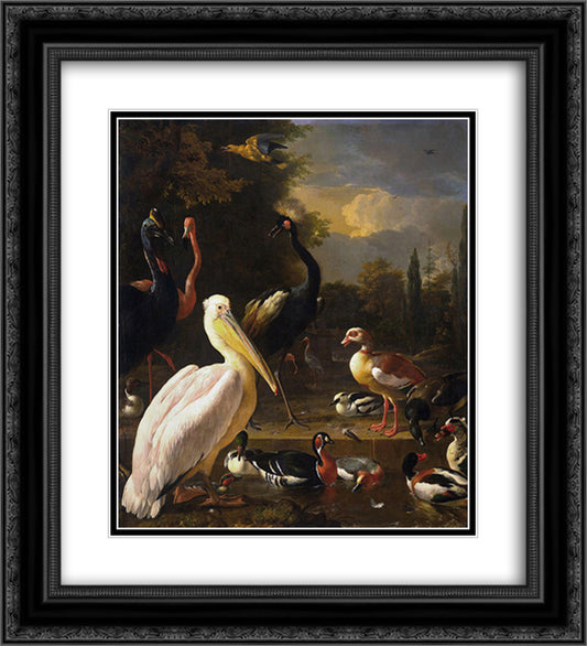 A Pelican and Other Birds Near a Pool (The Floating Feather) 20x22 Black Ornate Wood Framed Art Print Poster with Double Matting by Hondecoeter, Melchior de