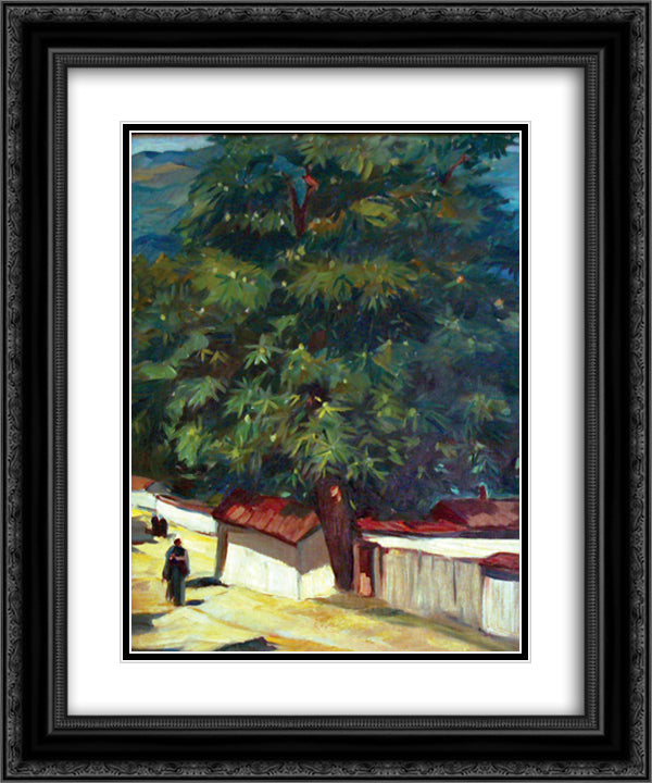 Street in Karlovo 20x24 Black Ornate Wood Framed Art Print Poster with Double Matting by Tanev, Nikola
