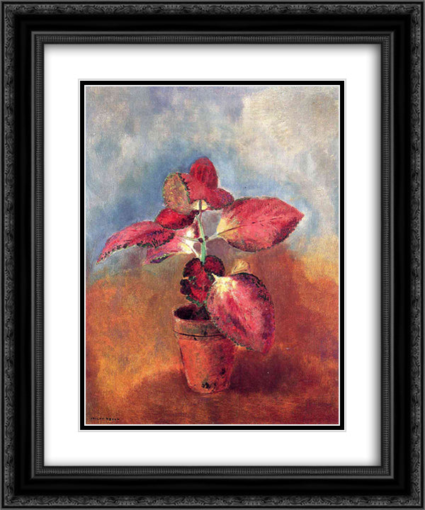 Begonia in a Pot 20x24 Black Ornate Wood Framed Art Print Poster with Double Matting by Redon, Odilon