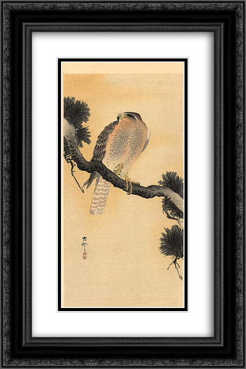 Falcon on a Branch 16x24 Black Ornate Wood Framed Art Print Poster with Double Matting by Koson, Ohara