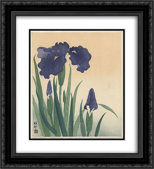 Flowering iris 20x22 Black Ornate Wood Framed Art Print Poster with Double Matting by Koson, Ohara