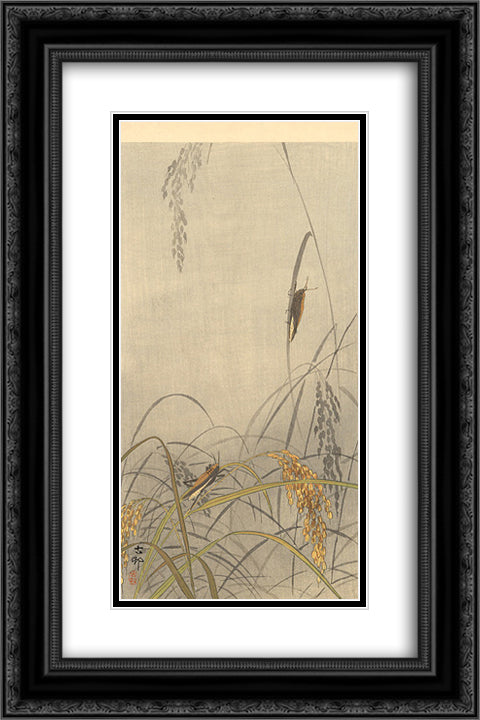 Grasshoppers on Rice Plants 16x24 Black Ornate Wood Framed Art Print Poster with Double Matting by Koson, Ohara