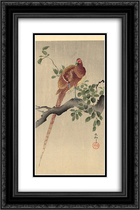 Pheasant on Branch 16x24 Black Ornate Wood Framed Art Print Poster with Double Matting by Koson, Ohara