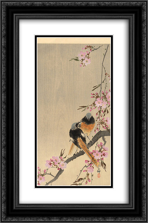 Redstart on cherry branch 16x24 Black Ornate Wood Framed Art Print Poster with Double Matting by Koson, Ohara