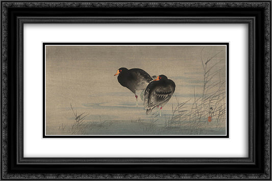 Two Gallinules in Shallow Water 24x16 Black Ornate Wood Framed Art Print Poster with Double Matting by Koson, Ohara