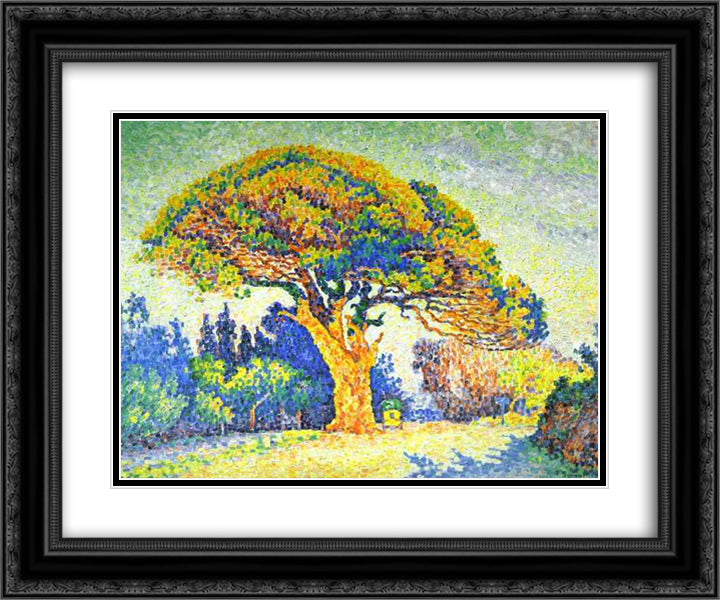 The Pine Tree at St. Tropez 24x20 Black Ornate Wood Framed Art Print Poster with Double Matting by Signac, Paul