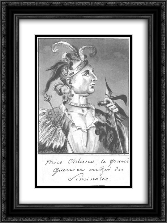 Great Warrior of Seminols 18x24 Black Ornate Wood Framed Art Print Poster with Double Matting by Svinyin, Pavel