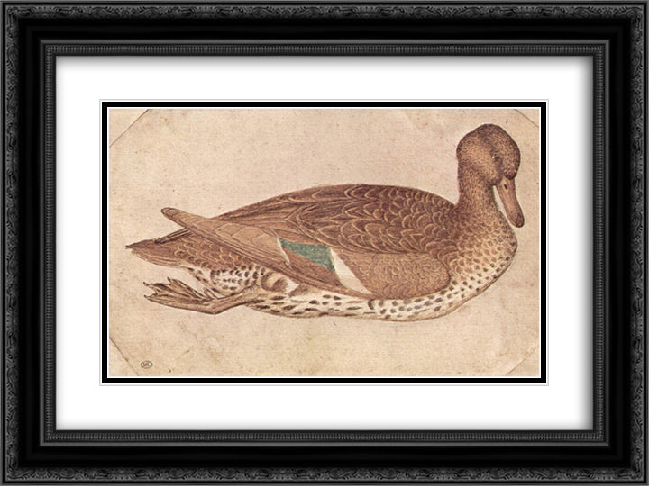 Duck 24x18 Black Ornate Wood Framed Art Print Poster with Double Matting by Pisanello