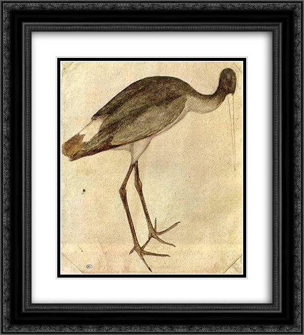 Stork 20x22 Black Ornate Wood Framed Art Print Poster with Double Matting by Pisanello