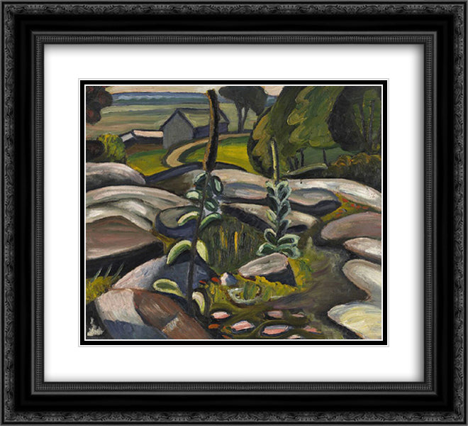 Mulleins and Rocks 22x20 Black Ornate Wood Framed Art Print Poster with Double Matting by Heward, Prudence